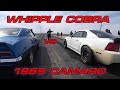 Whipple Terminator vs  &#39;69 Camaro