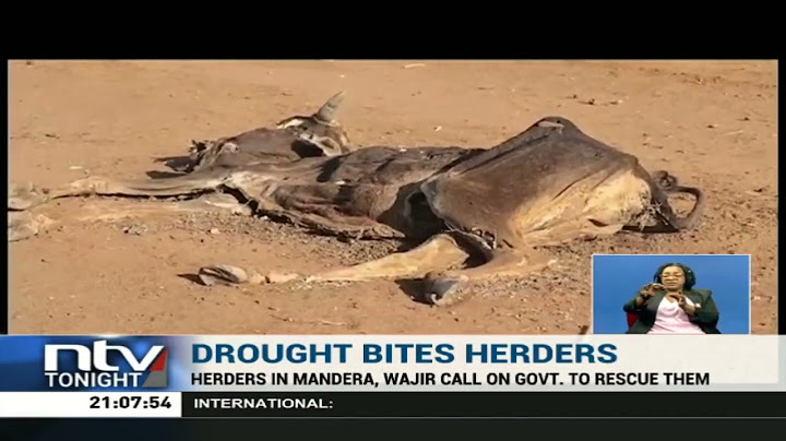 Residents of Sericho in Isiolo County count losses following death of their livestock due to drought