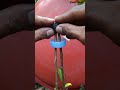 propagating plants using the stem-breaking technique. #ihavethisthingwithplants #diy #bonsai