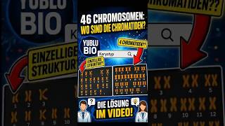 Das Geheimnis des Karyotyps: 46 Chromosomen und 92 Chromatiden? 🤯#Karyotyp#Chromosomen#Chromatiden