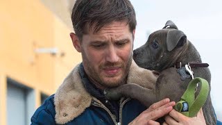 Download Lagu Egy volt maffiózó élete örökre megváltozik, amikor megismerkedik ezzel a kiskutyával MP3