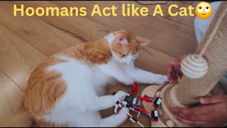 Why is My Hooman playing with my Toy 🙄 Funny Cat Videos will Make you Laugh 🤣 Watch till the End 😂 by Namira Taneem 🇨🇦 105 views 1 month ago 24 minutes