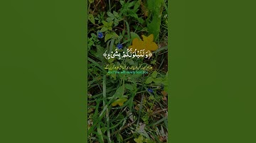 آيات بينات من الذكر الحكيم بصوت جميل ومأثر ❤ #اكسبلور #القرآن_الكريم #المغرب