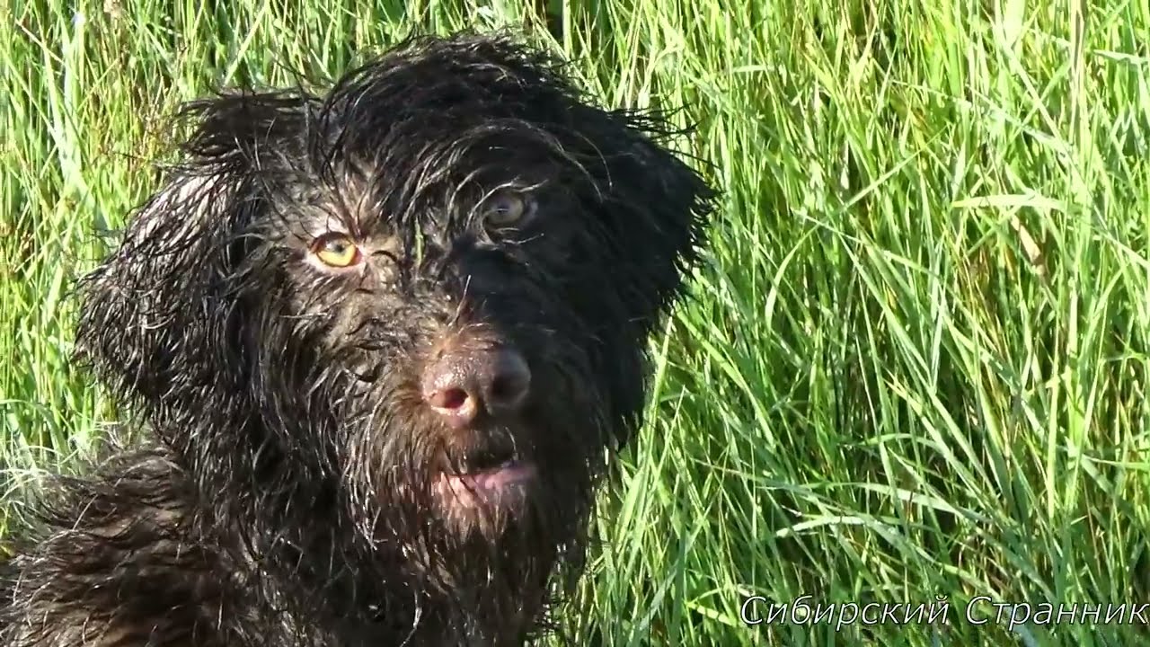 Пробный выезд на рыбалку, на реку Каргат.