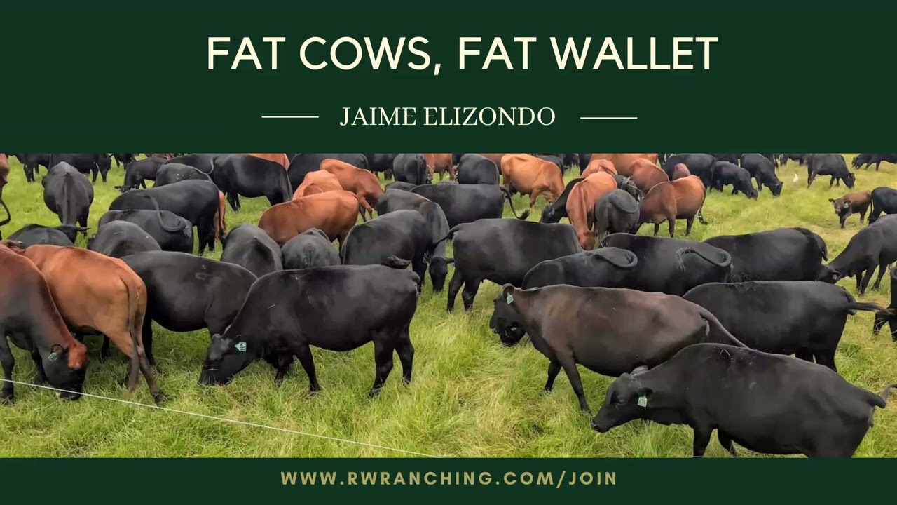 #74 Los 4 Pilares de Real Wealth Ranching