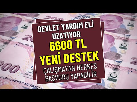 Devlet Hane Başı 6600 TL Destek Ödemesi Başlattı! Şubat’ta Ödenecek