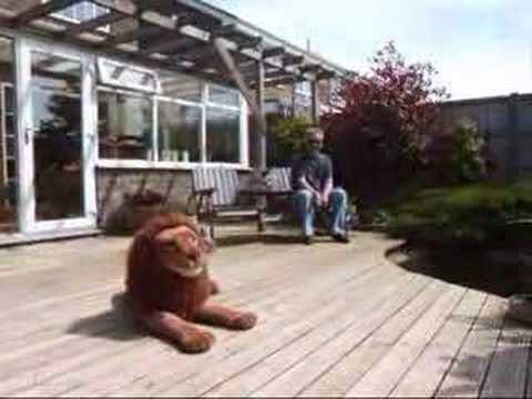 CHARLIE THE BOXER DOGMEETS PICKERING THE STUFFED LION