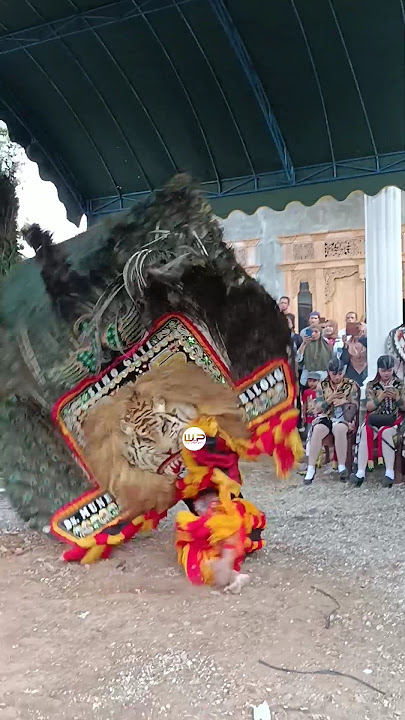 PEMBARONG REOG NGAMUK BIKIN MERINDING #shorts #shortsfeed #viralshorts #reog