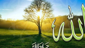 تلاوة رائعة سورة هود الشيخ صلاح البدير www.qoranet.net