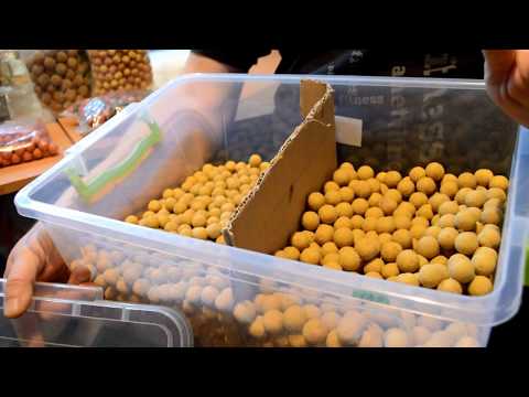 Видео: Как долго хранятся свежие бойлы?