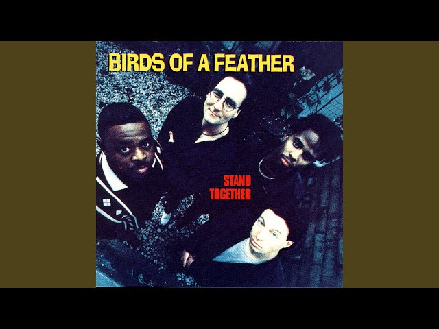 Birds Of A Feather - View From Here