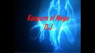 ROSARIO TIJERA TECHNO ELECTRO DJ KANGURO DEJEEY KANGURO.-.wmv