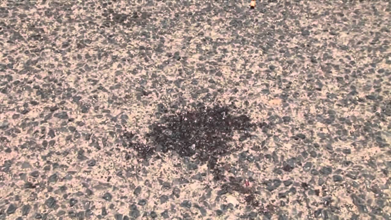 96 killed 300 injured as Yemen soldier turns suicide bomber   [© AFP]