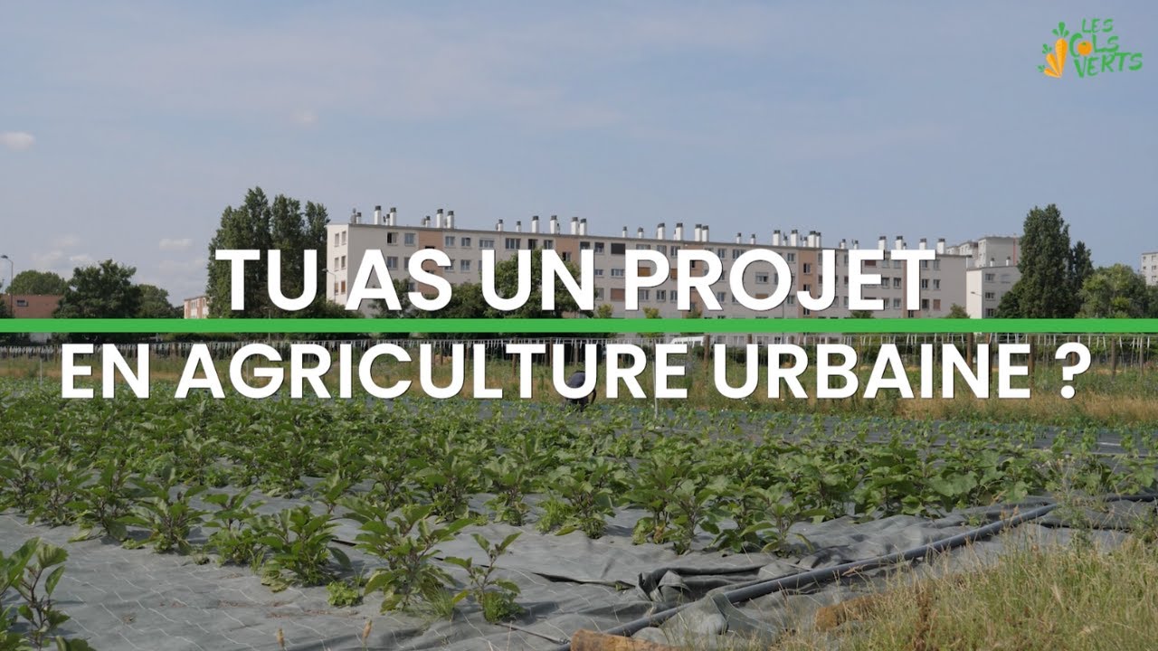 L'incubateur en Agriculture Urbaine 2024 - Les Cols Verts