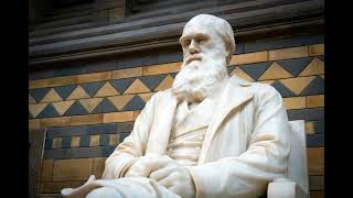 20 Years After Dover: Steve Fuller on Science, Censorship, and the “Church of Darwin”