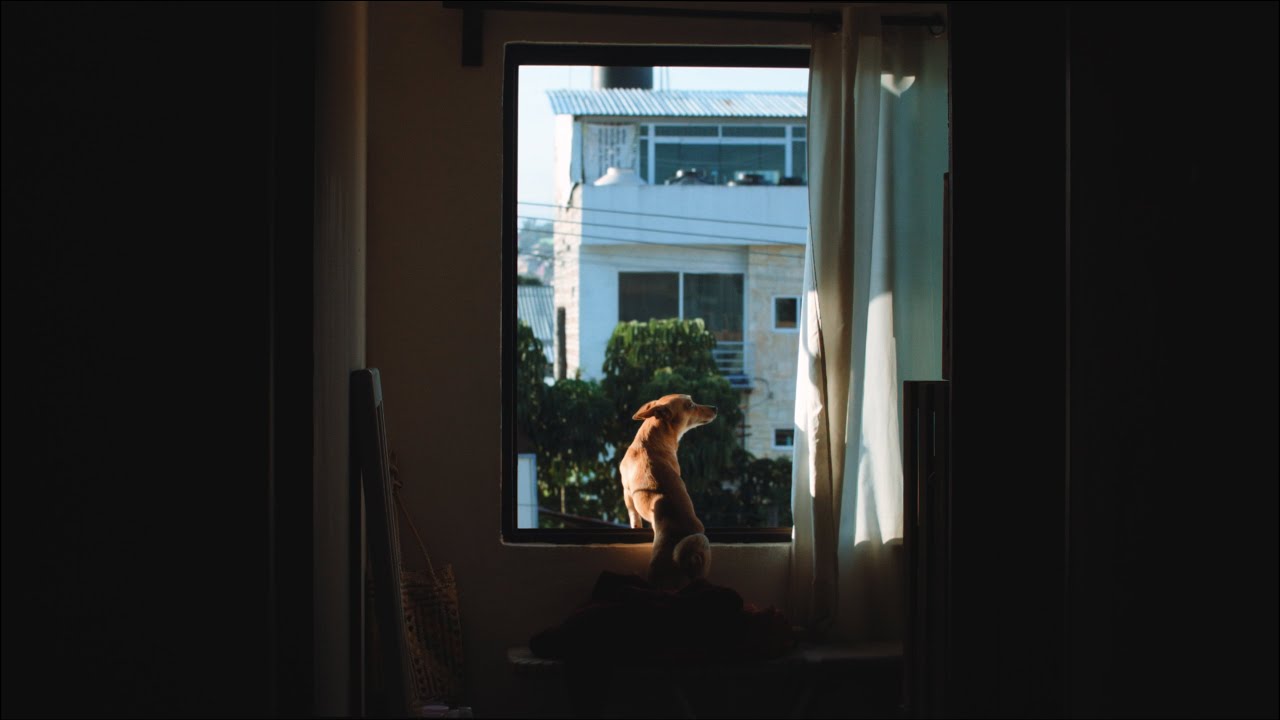 CASA MANGUITO (part II)