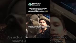 Tom Holland Sacrificed His Dignity For Puppies! ✨😭 | #Shorts