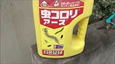 蟻の駆除 重曹と砂糖 Youtube 蟻の駆除 重曹と砂糖 Youtube
