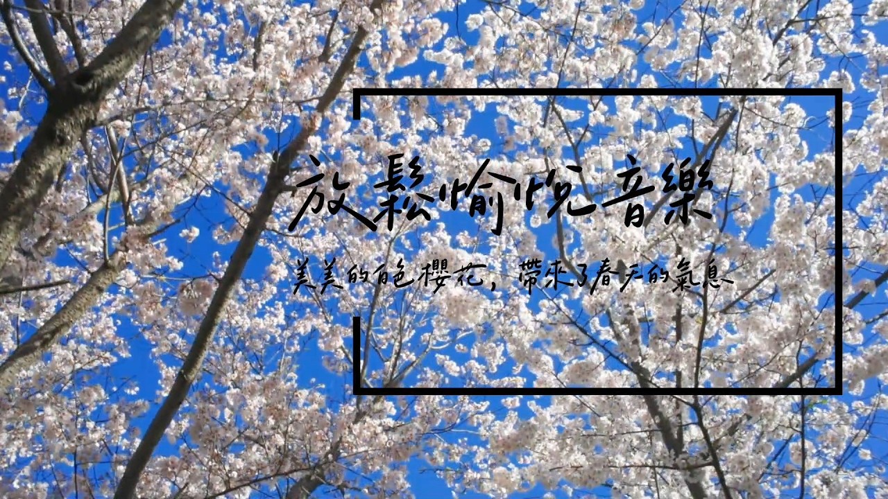 Chill音樂 | 散步於櫻花樹下，感受春天氣息 | 放鬆愉悅音樂𝜗ৎ