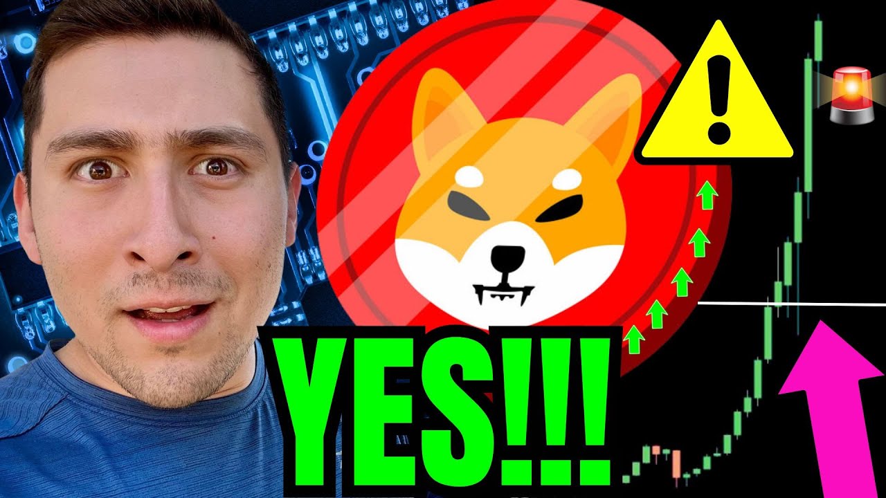 MAJOR SHIBA INU PRICE PREDICTION (URGENT) - YouTube