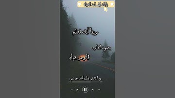 حالات واتس اب قران بصوت القارئ فارس عباد ✨🍃🤍 قِأّنِأّتّ أّبِتَّّسأّمَةّ أّلَحٌيِّأّةّ