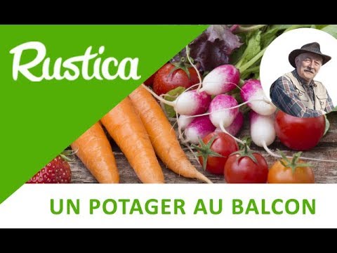 Un mini-potager sur le balcon pour les apéros de l'été