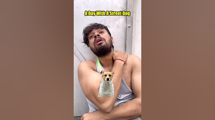 A Day With A Street Dog😭 #shorts #trending