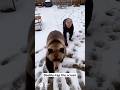 A Bear Gets TOO Close to Grandma… And Her Reaction Is Priceless