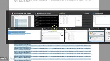 Final Project - CMSC206