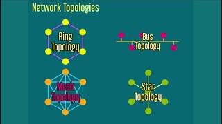 Computer Science: Network Topologies  (Mesh, Bus, Ring, Star)
