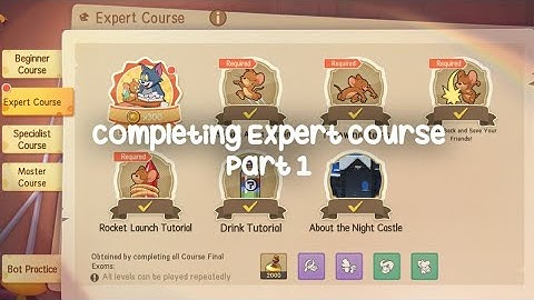 Tom and Jerry Chase | Completing Expert Course - Part 1