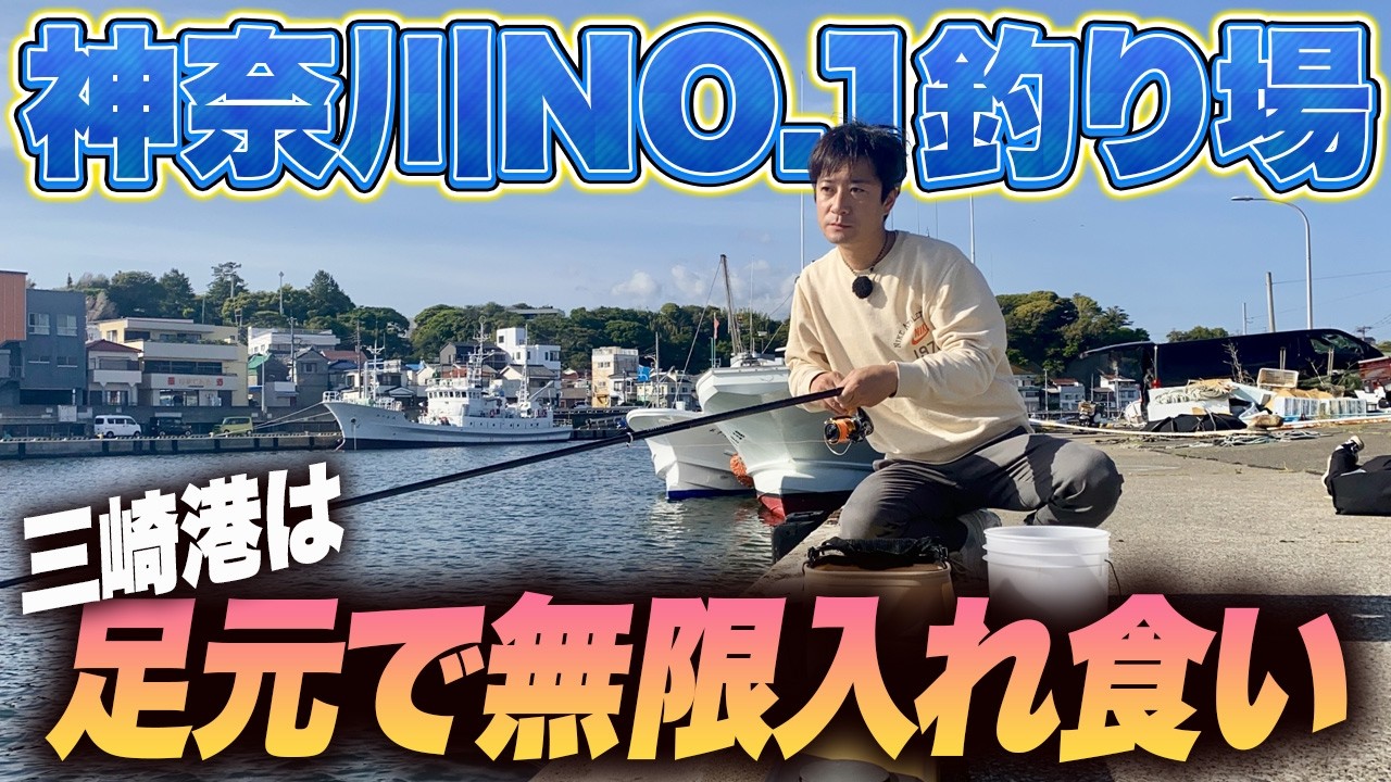 【三浦半島三崎港】アジ イワシ サバがずっと入れ食い！足元サビキ釣りで誰でも爆釣！泳がせ釣りでは今回も…