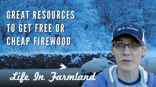 5 Of The Best Resources For Free Firewood - Wood Heat Wednesday - EP: 4