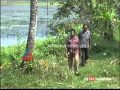 Bird flu, alert issued bird