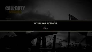 Error 4128. Fixes and Patience for Call of Duty WWII