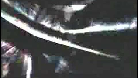 Tortoise - Galapagos (Official Music Video)