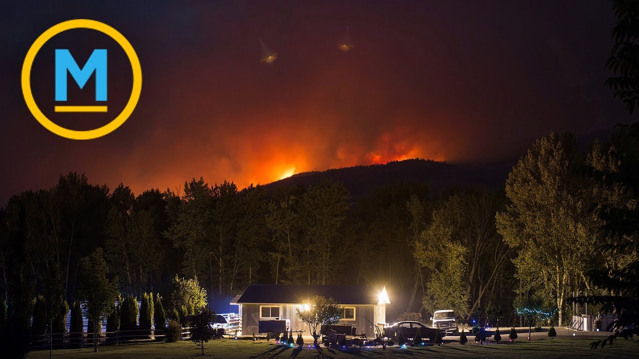 More evacuations likely to come as B.C. wildfire situation worsens | Your Morning
