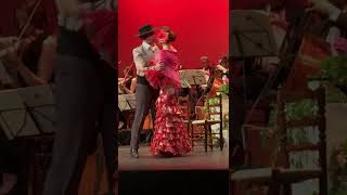 El Puñao de Rosas: Dúo Rosario y Pepe
