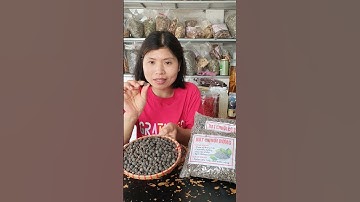 Hạt Chuối Hột Rừng Các Loại - Giá Hạt Chuối Rừng - shorts