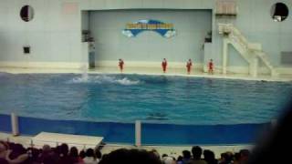 DSCN9598.MOV