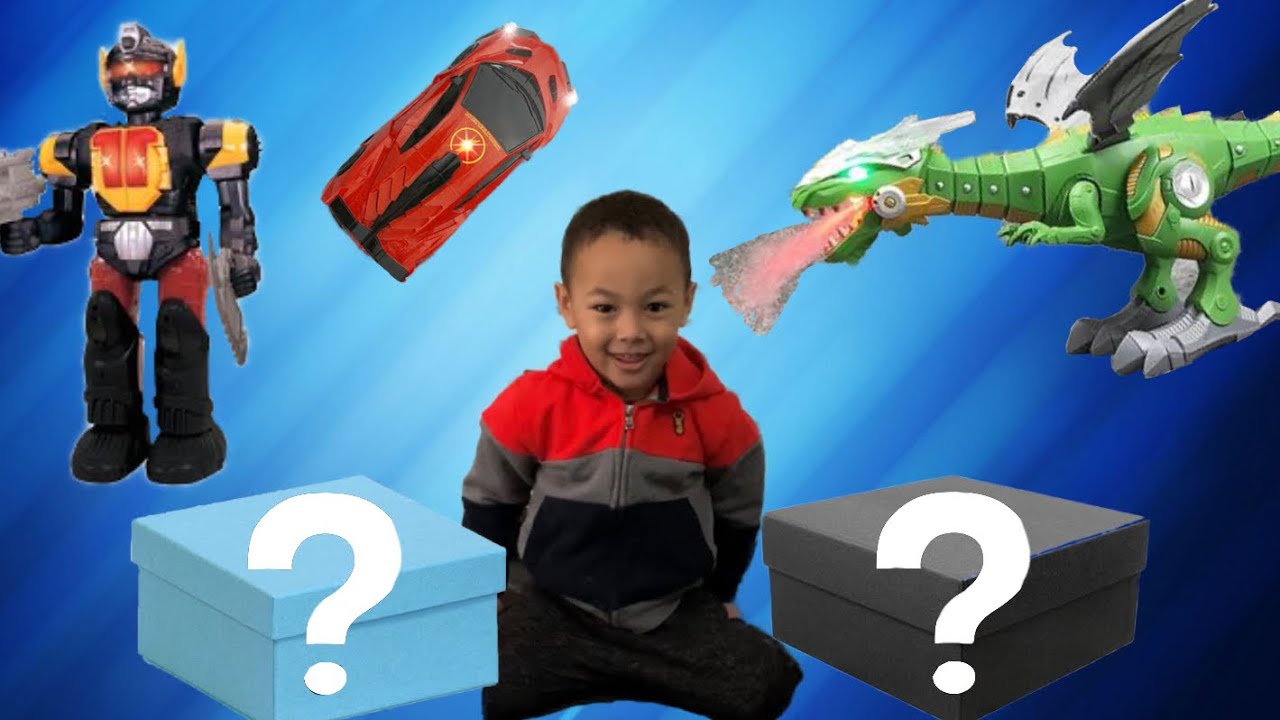 MYSTERY BOX CHALLENGE with A FIRE BREATHING DRAGON and CAR THAT GOES UP WALLS!!!