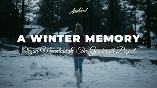 Organ Mountain & The Goodnight Project - A Winter Memory Ambient Relaxing Clical