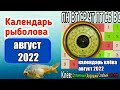 календарь клева рыбы на Август 2022 года Прогноз клева рыбы на эту неделю Календарь клева Август