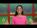 CBeebies Continuity 21st September 2013