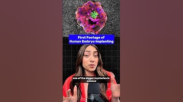 First Ever Footage of Human Embryo Implanting!!