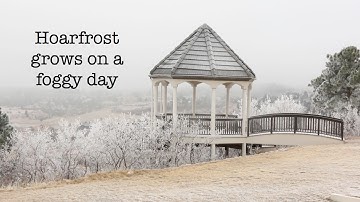 Hoarfrost gently grows in fog