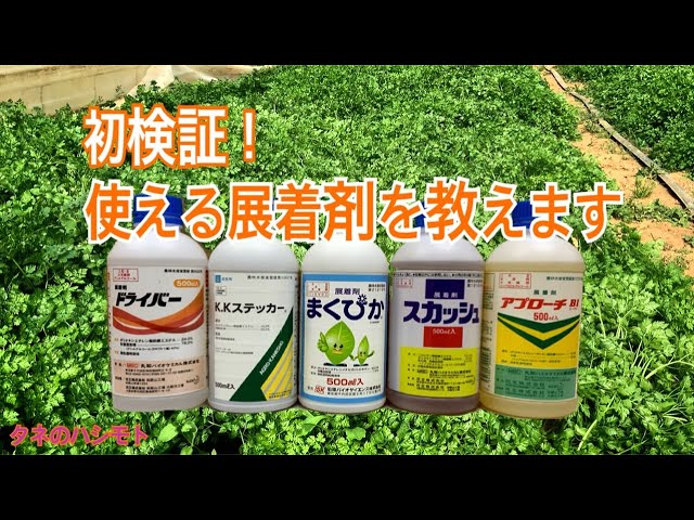 展着剤の効果 農薬散布に必要不可欠 タネのハシモト Youtube