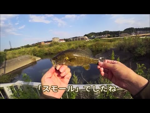 0816 東京 浅川 バス釣り まさかの･･･ 後編
