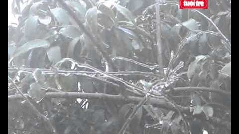 vn121111_coldsnapstillwreakinghavoc