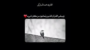 تلاوة هادئة جميلة للقارئ محمد مباركي